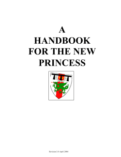 a handbook for the new princess