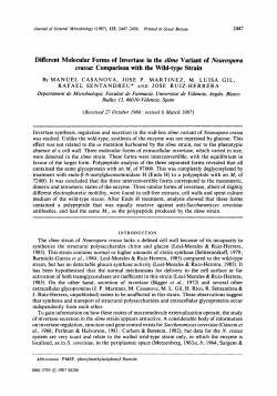 Different Molecular Forms of Invertase in the slime Variant of