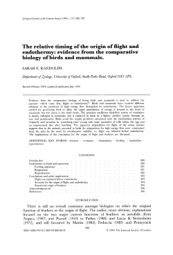 evidence from the comparative biology of birds