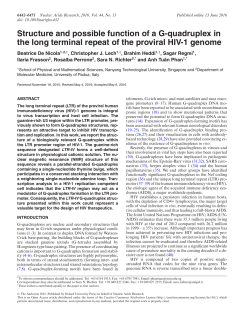 Structure and possible function of a G