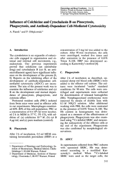 Influence of Colchicine and Cytochalasin B on Pinocytosis