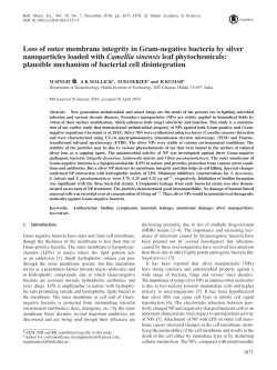 Loss of outer membrane integrity in Gram