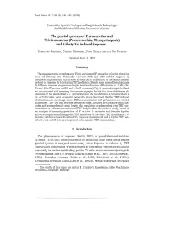 The genital systems of Trivia arctica and Trivia monacha