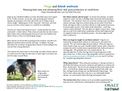 Hogs and black walnuts - Oregon Sustainable Agriculture Land Trust