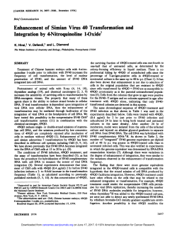 Enhancement of Simian Virus 40 Transformation
