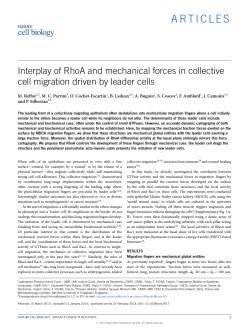 Collective migration driven by leader cells
