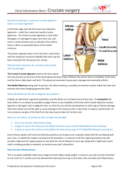 Cruciate ligament rupture