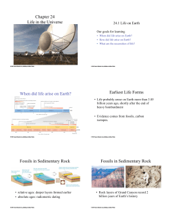 Chapter 24 Life in the Universe When did life arise