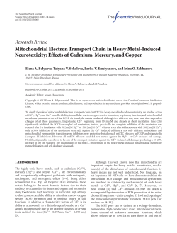 Mitochondrial Electron Transport Chain in Heavy Metal