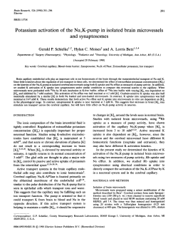 Potassium activation of the Na,K-pump in isolated brain