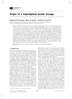 Origin of a haplodiploid beetle lineage