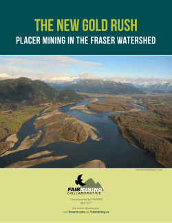The New Gold Rush - Fair Mining Collaborative