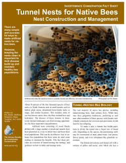 Tunnel Nests for Native Bees