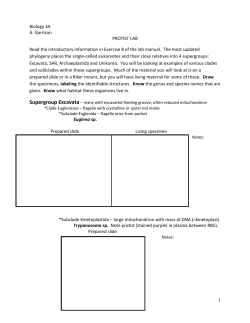 Protist Lab - Bakersfield College