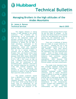 managing broilers in high altitudes