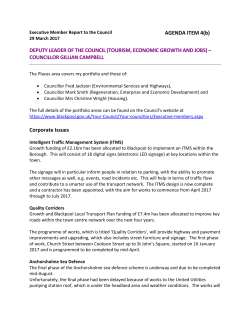 DEPUTY LEADER OF THE COUNCIL