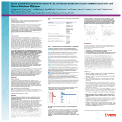 Global Quantification of Histones, Histone PTMs, and Histone