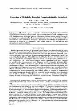 Comparison of Methods for Protoplast Formation in