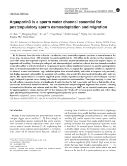 Aquaporin3 is a sperm water channel essential for