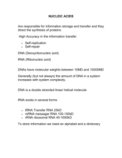 P450_L9_Structure_function of Nucleic Acids