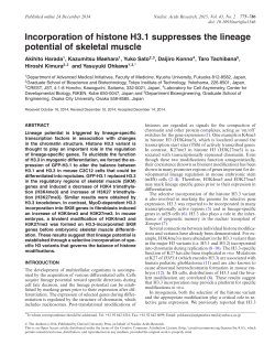 Incorporation of histone H3.1 suppresses the
