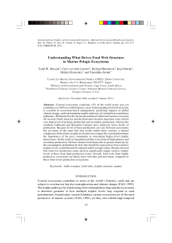 Understanding What Drives Food Web Structure in Marine