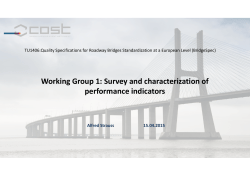 Working Group 1: Survey and characterization of performance