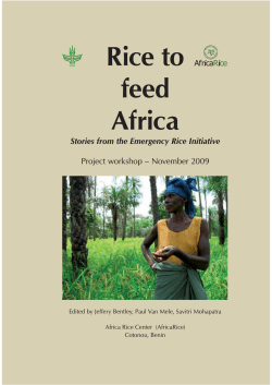 Rice to feed Africa