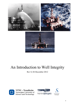 An Introduction to Well Integrity