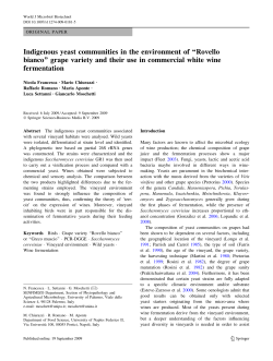 Indigenous yeast communities in the environment of ``Rovello bianco