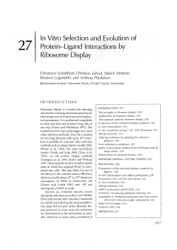 27 In Vitro Selection and Evolution of Protein