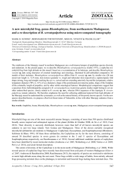 A new microhylid frog, genus Rhombophryne, from northeastern