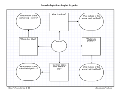 Animal Adaptations Graphic organizer