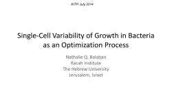 Quantitative analysis of growth arrested bacteria and the evolution of