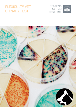 flexicult&reg; vet urinary test