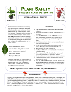 plant safety - Virginia Poison Center