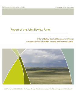 Decision 2009-008: Report of the Joint Review Panel