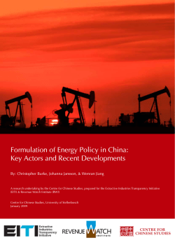Formulation of Energy Policy in China