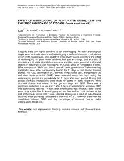 Effect of Waterlogging on Plant Water Status, Leaf Gas Exchange