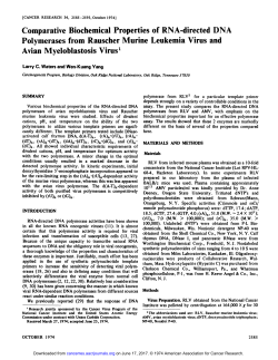 Comparative Biochemical Properties of RNA
