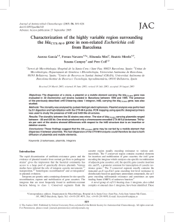 Characterization of the highly variable region surrounding the