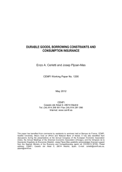 durable goods, borrowing constraints and consumption
