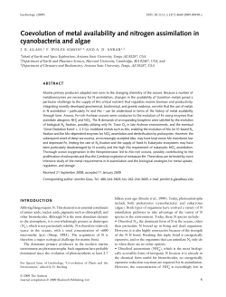 Coevolution of metal availability and nitrogen assimilation