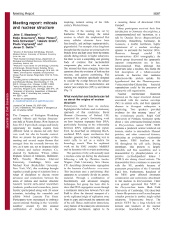 Meeting report: mitosis and nuclear structure