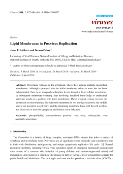 Full-Text PDF