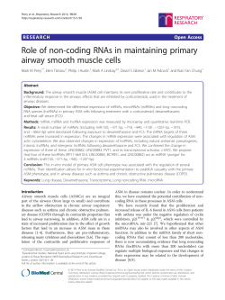 Role of non-coding RNAs in maintaining primary airway smooth