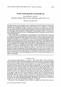 On the Growth and Form of Escherichia coli