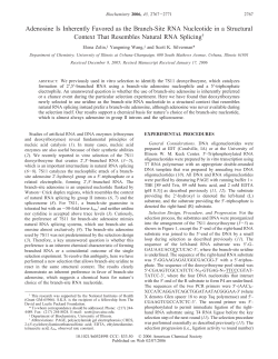 Adenosine Is Inherently Favored as the Branch