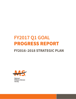 FY2017 Q1 GOAL PROGRESS REPORT