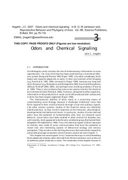 Odors and Chemical Signaling